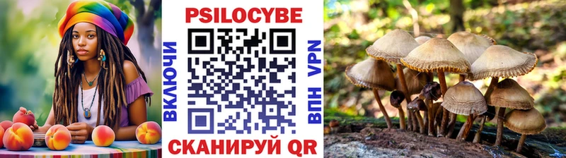 omg   Мурино  Псилоцибиновые грибы ЛСД 