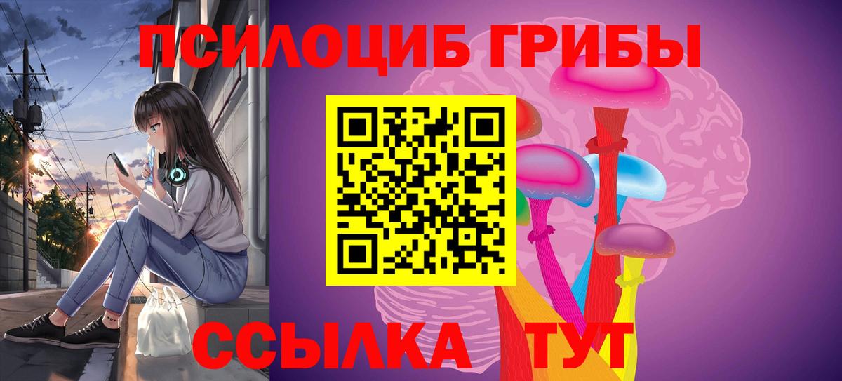 Псилоцибиновые грибы мицелий Мурино