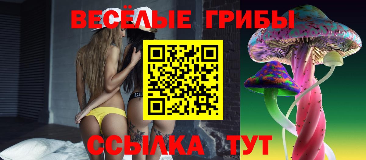 Галлюциногенные грибы MAGIC MUSHROOMS  Псилоцибиновые грибы мухоморы  закладка  Вход с VPN  Мурино 